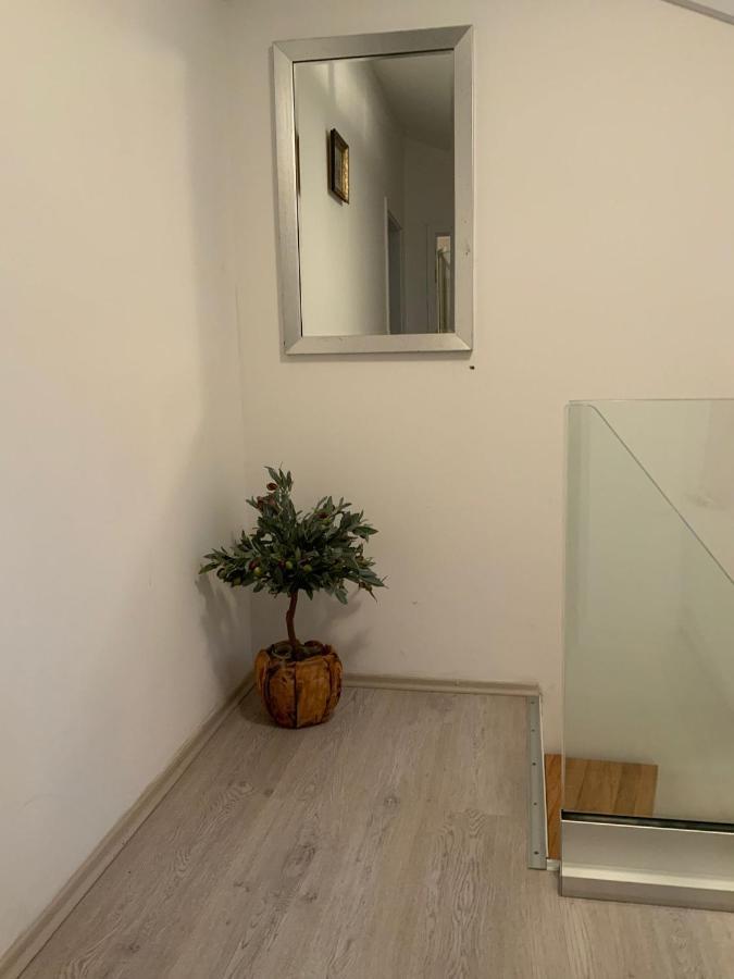 Apartman Lili Zaton  Eksteriør billede